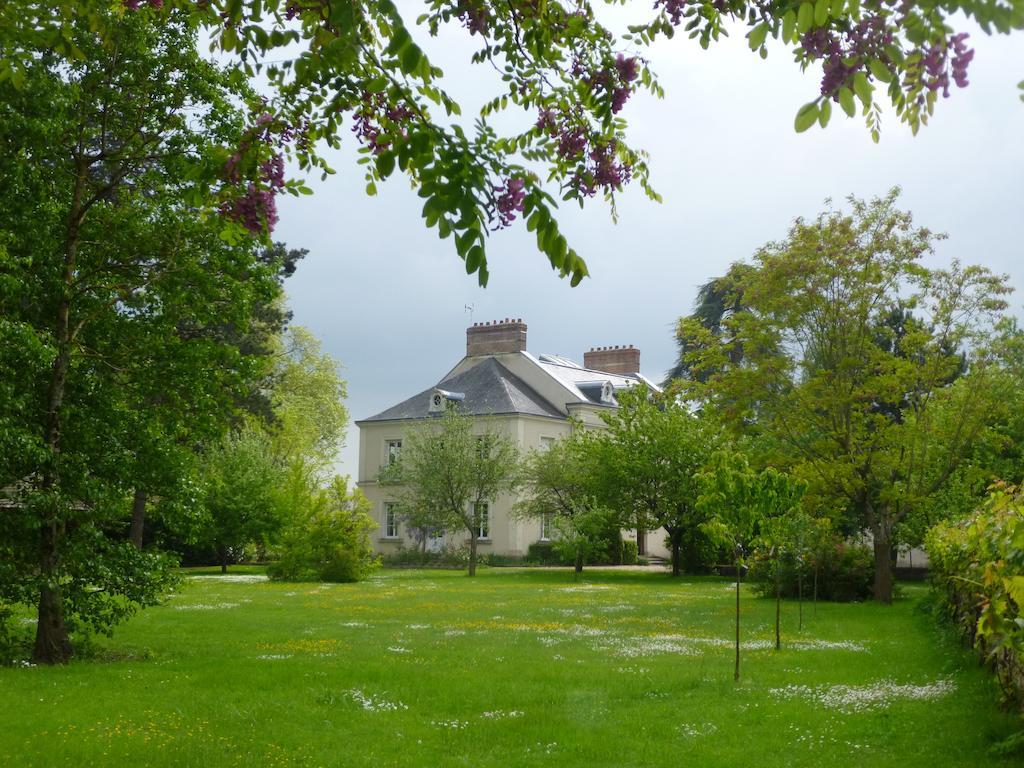 Cedre Et Charme Bed and Breakfast Saint-Branchs Buitenkant foto