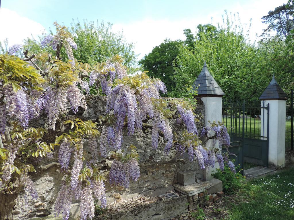 Cedre Et Charme Bed and Breakfast Saint-Branchs Buitenkant foto