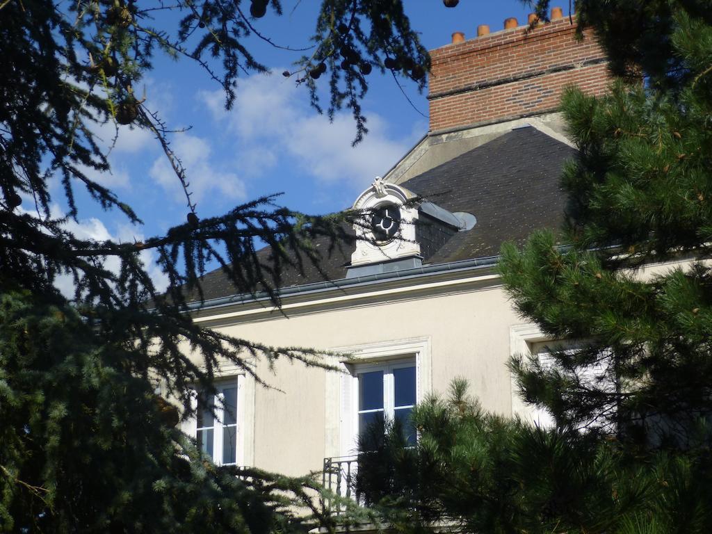 Cedre Et Charme Bed and Breakfast Saint-Branchs Buitenkant foto